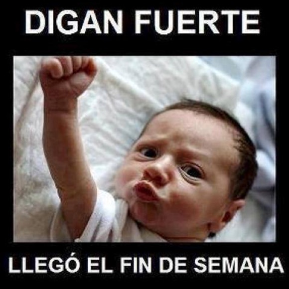 Meet your Posher, Duglas - Picture 1 of 3